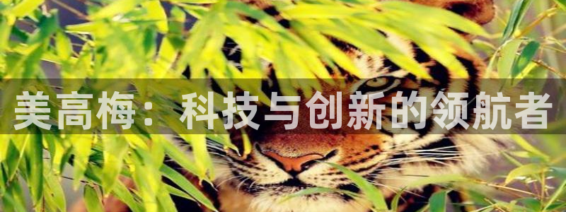 jdb电子官网