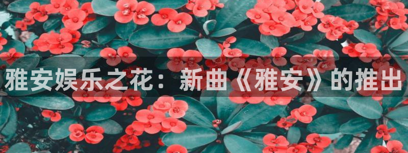 jdb电子夺宝