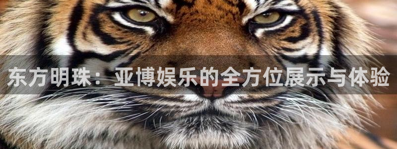 jdb电子平台官网