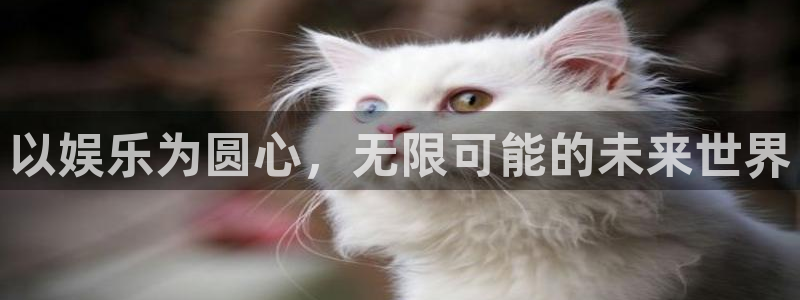 jdb电子龙王
