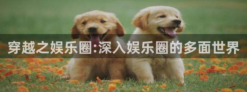 jdb电子夺宝官网