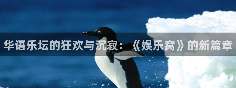 jdb变脸电子游戏技巧：华语乐坛的狂欢与沉寂：《娱乐窝》的新篇章