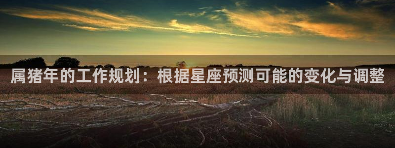 jdb电子平台官网：属猪年的工作规划：根据星座预测可能的变化与调整